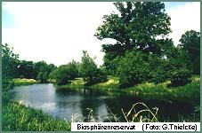 Biosphrenreservat Mittlere Elbe