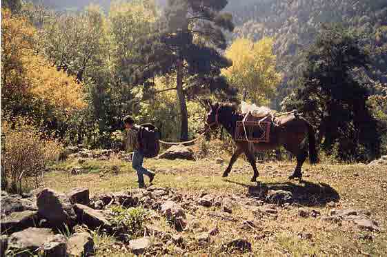 Transport difficile